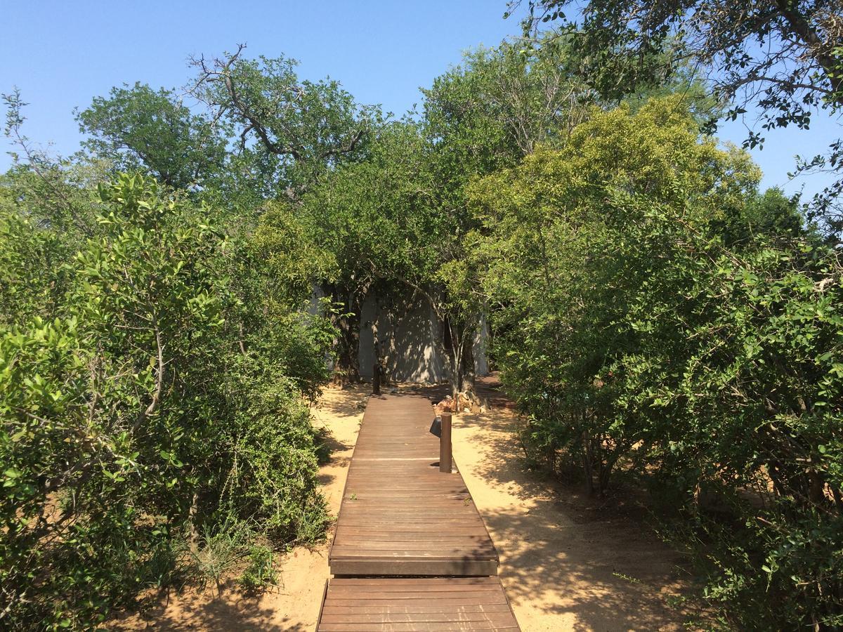 Leadwood Lodge Hoedspruit Buitenkant foto