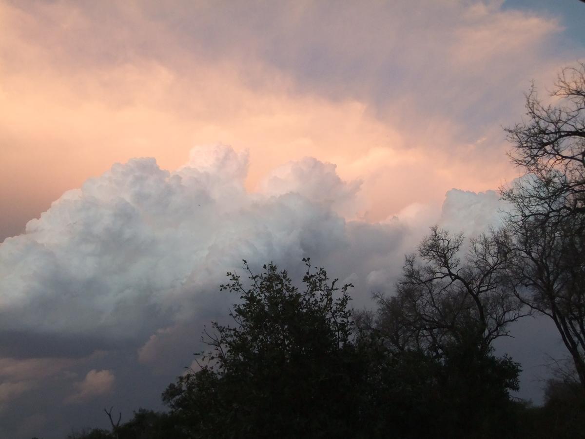 Leadwood Lodge Hoedspruit Buitenkant foto