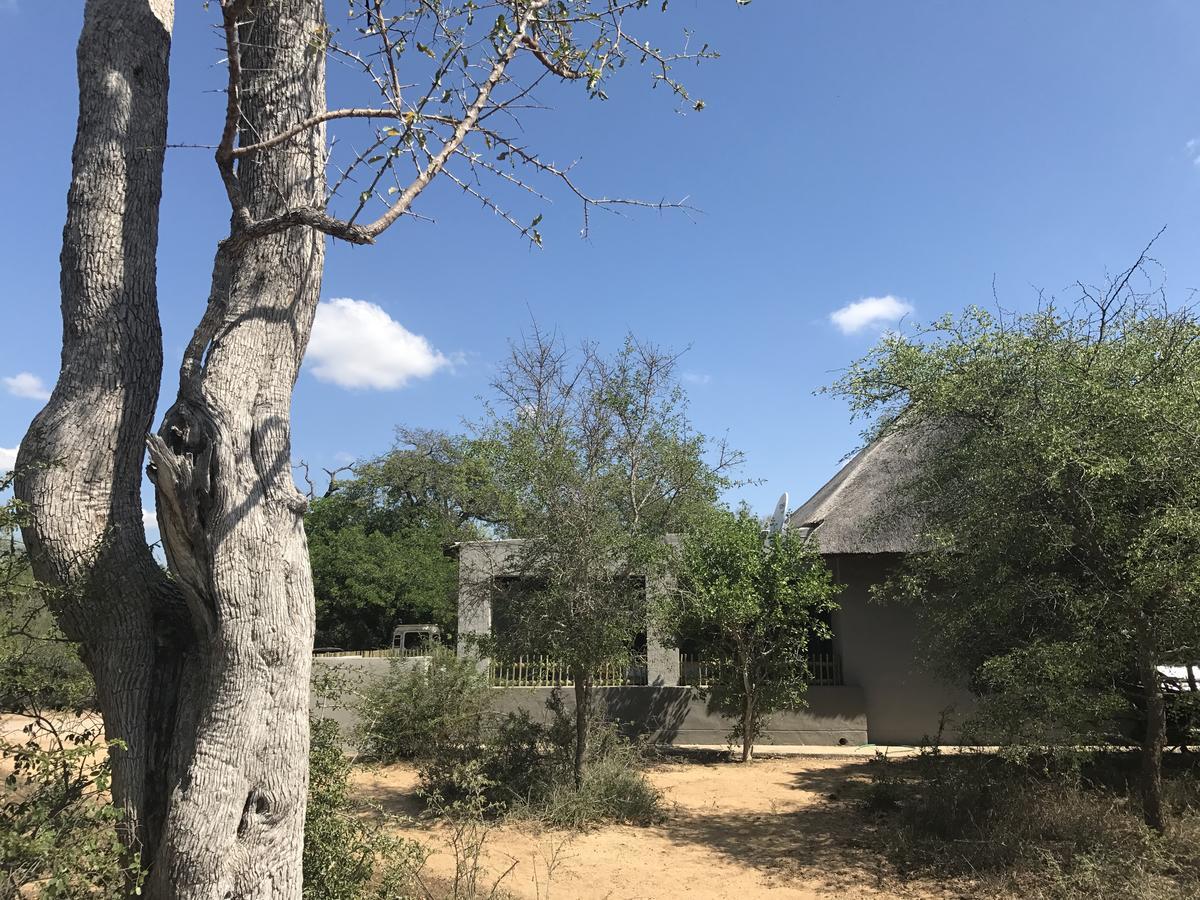 Leadwood Lodge Hoedspruit Buitenkant foto