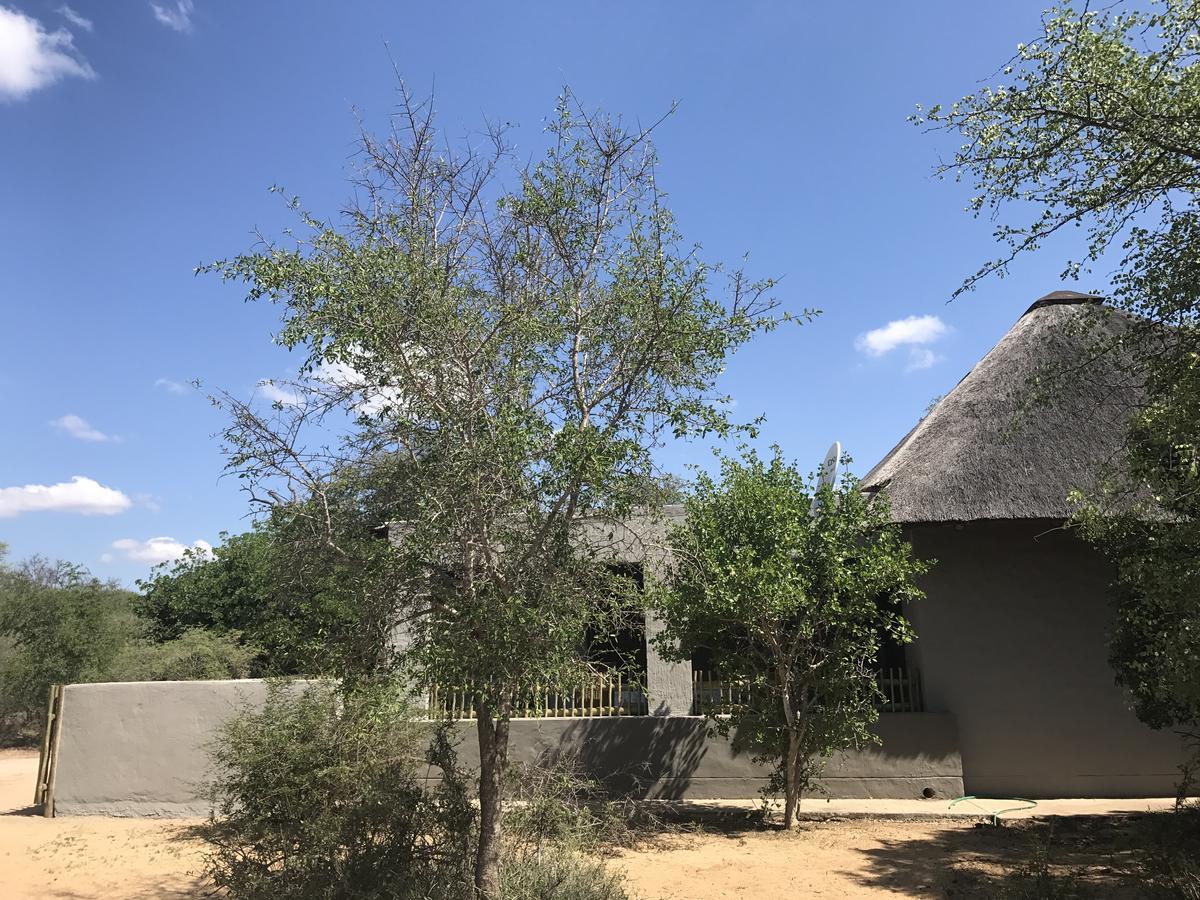 Leadwood Lodge Hoedspruit Buitenkant foto
